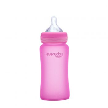 Everyday Baby Glass Heat Sensing Baby Bottle 240ml