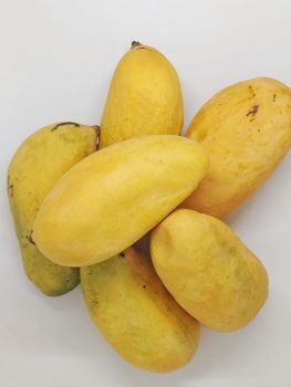 Fresh Sindhri - The Queen of Mangoes